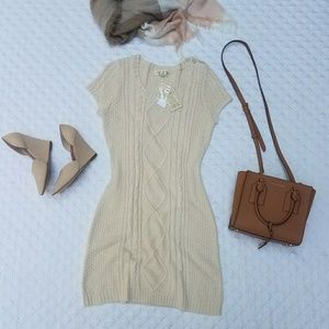 Cable Knit Sweater Dress